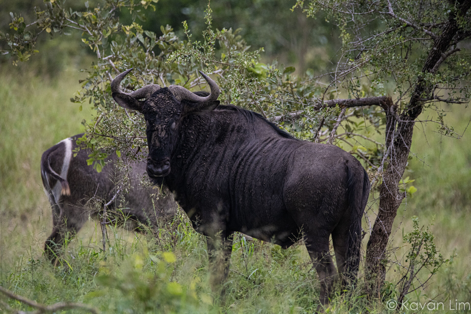 Southern Africa Batch 1 (91 of 109)