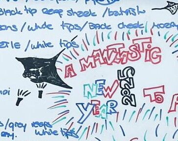 IMG-20250105-WA000411