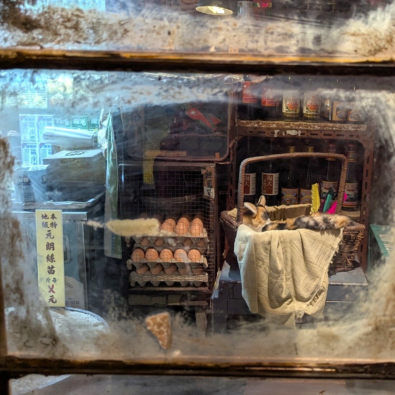 PXL_20260131_052910564
