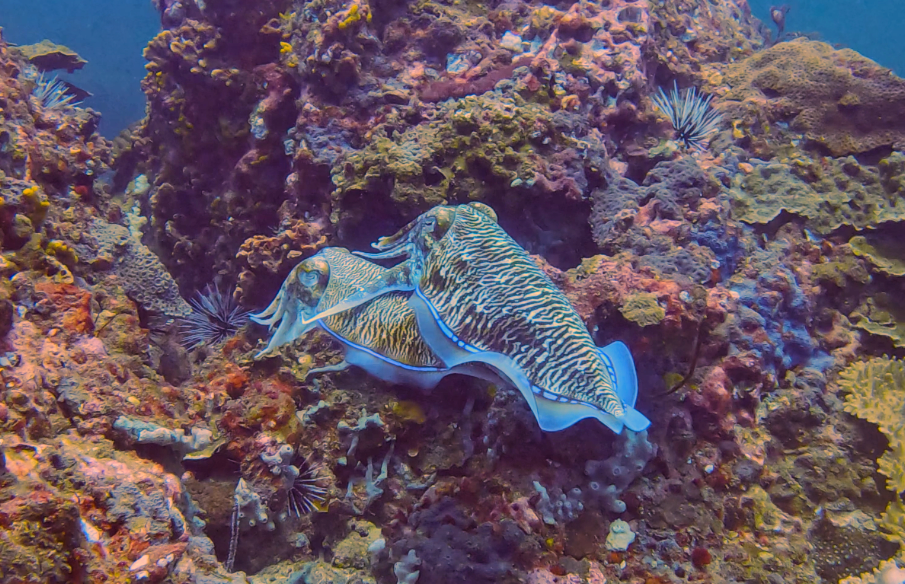 スクリーンショット 2024-05-19 150303~2