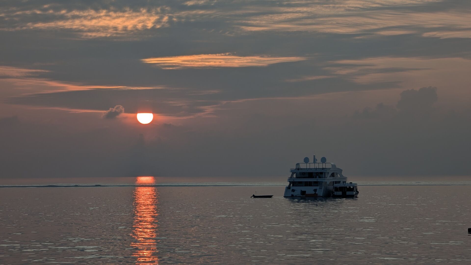 PXL_20241231_012559041