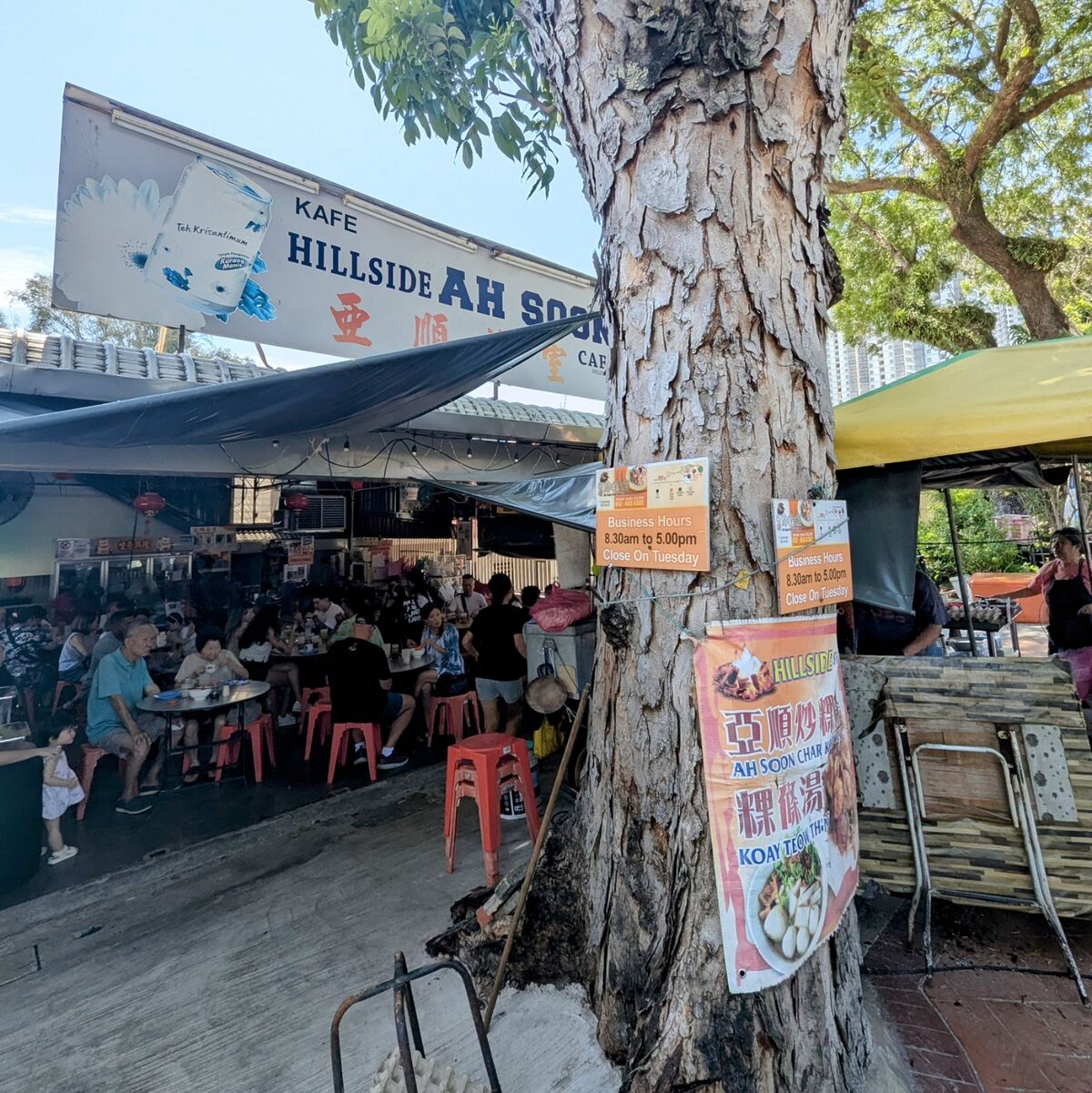 PXL_20250601_053922585~2