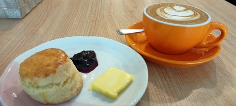 IMG20201122160416_00