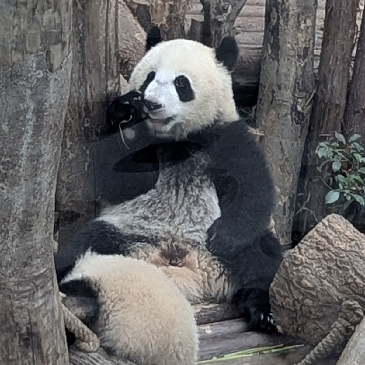 PXL_20250628_065331513.PORTRAIT.ORIGINAL