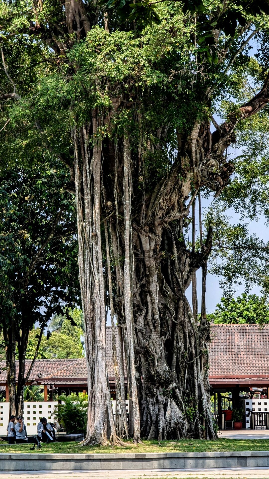 PXL_20241013_060317042~2