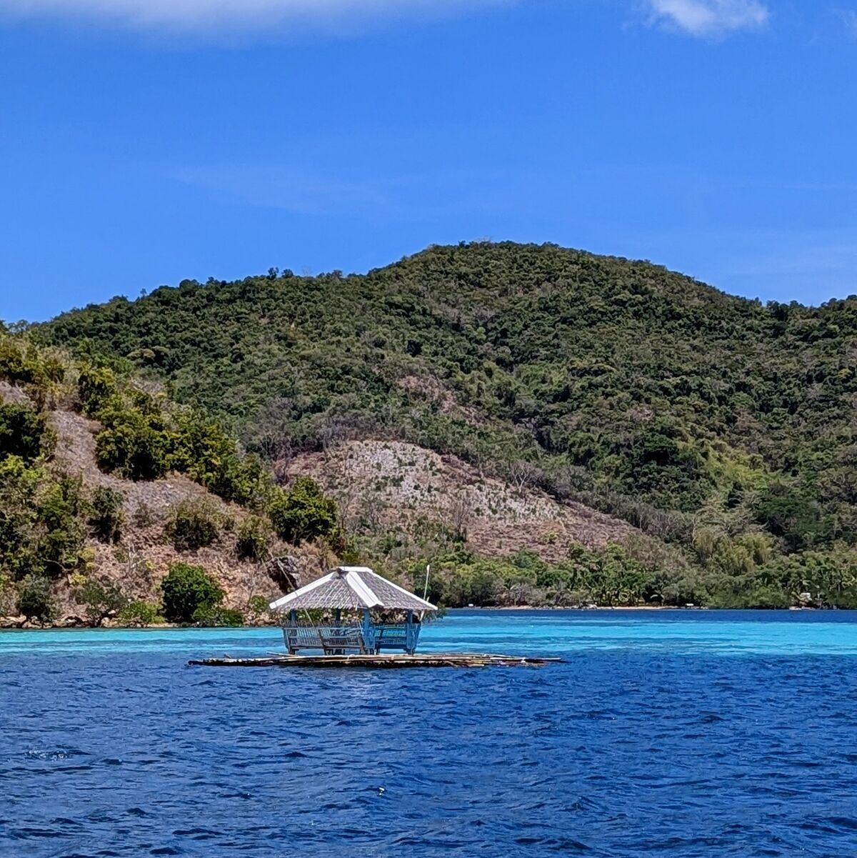 PXL_20250330_032137972.PORTRAIT.ORIGINAL~2