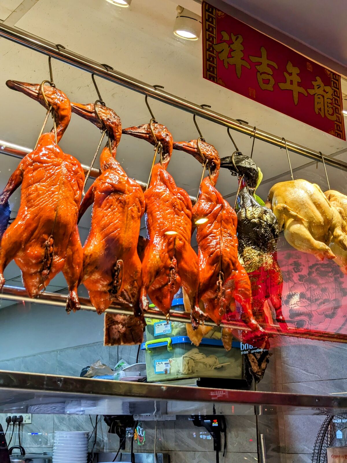 PXL_20240111_132204506~2