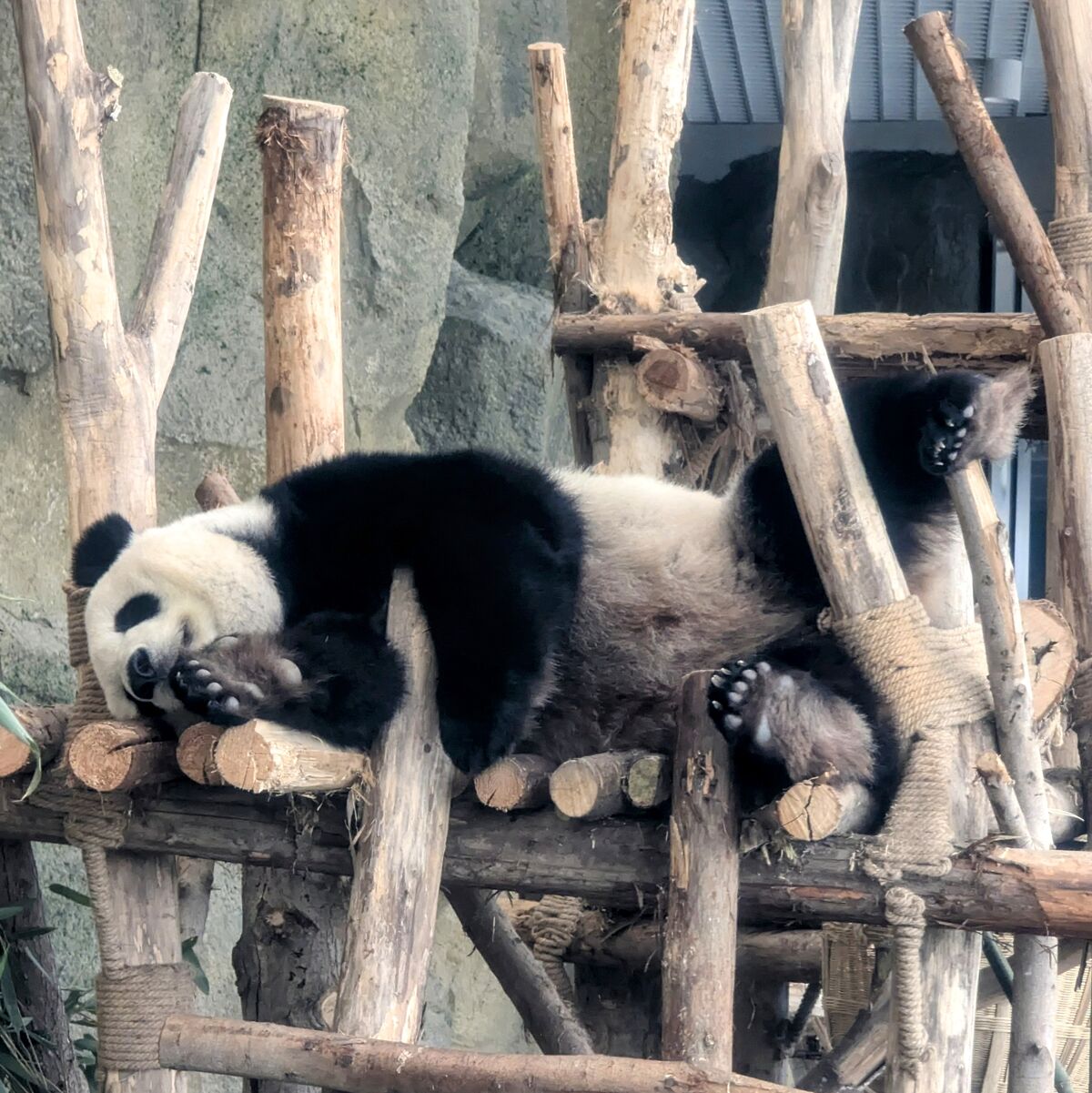 PXL_20250628_081815096~2