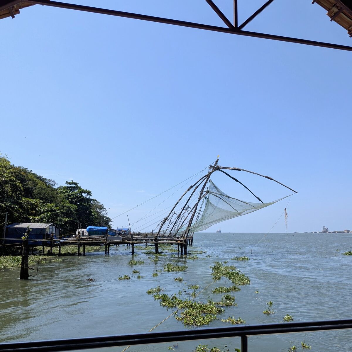 PXL_20251101_072329075~2