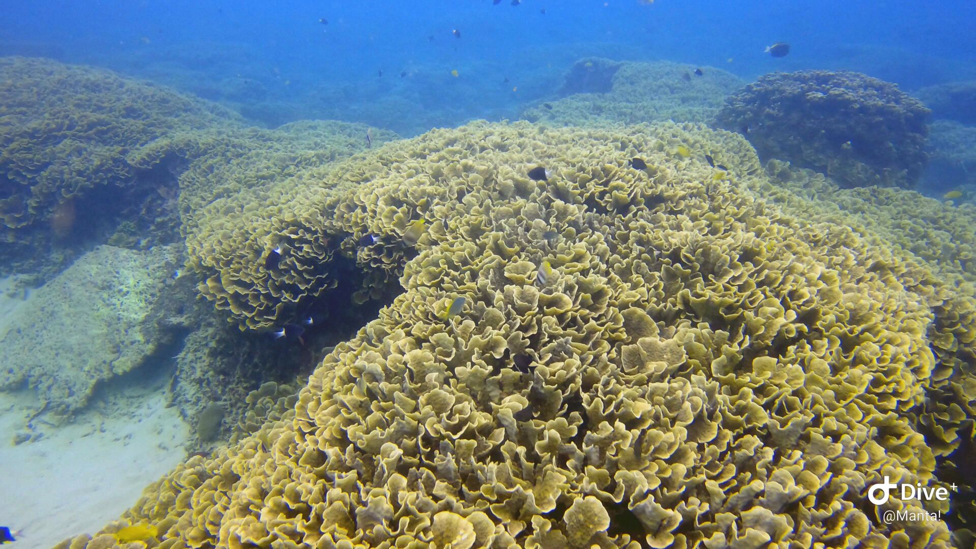 1661782854204-1968872227