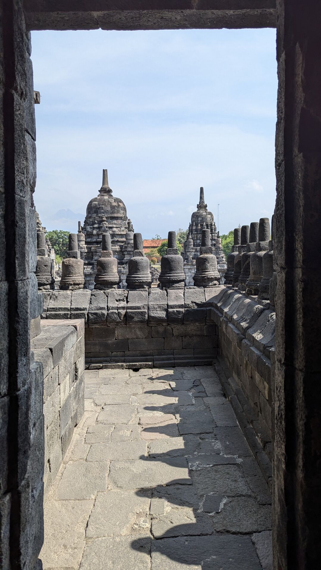 PXL_20241014_020618636