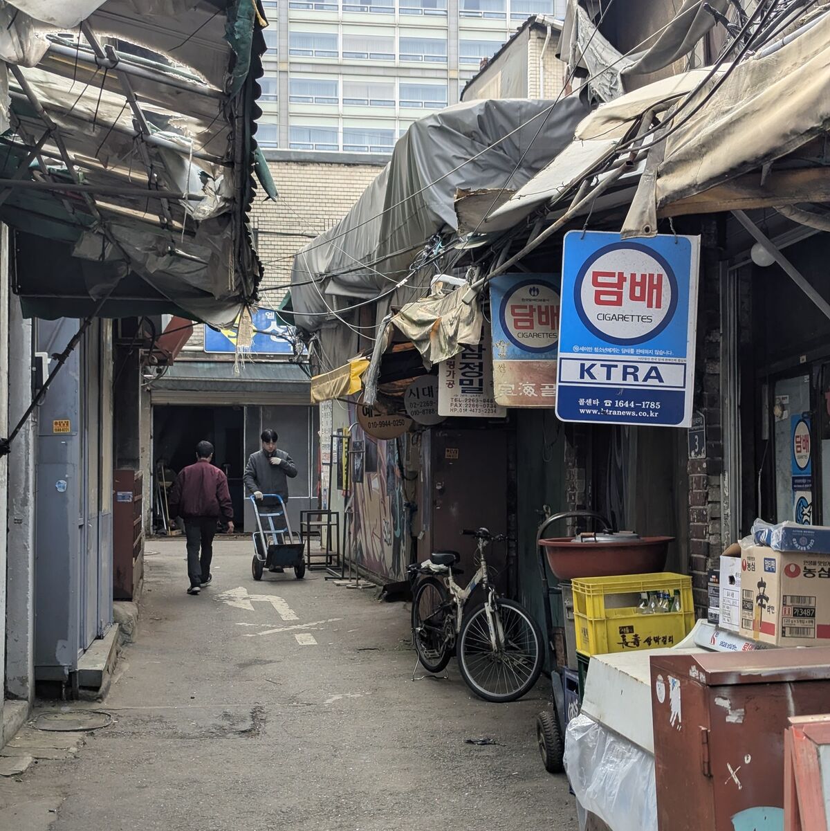 PXL_20251124_033134691~2