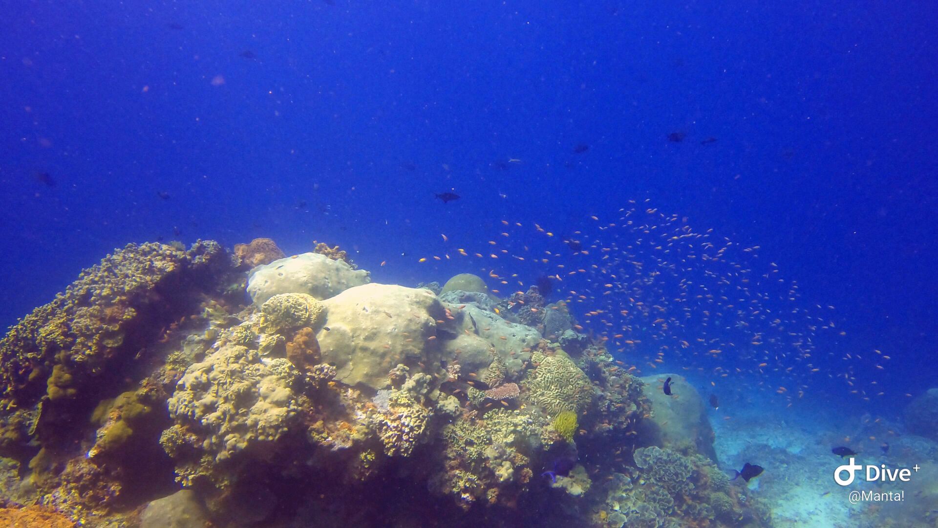 1661783020085-1516675547