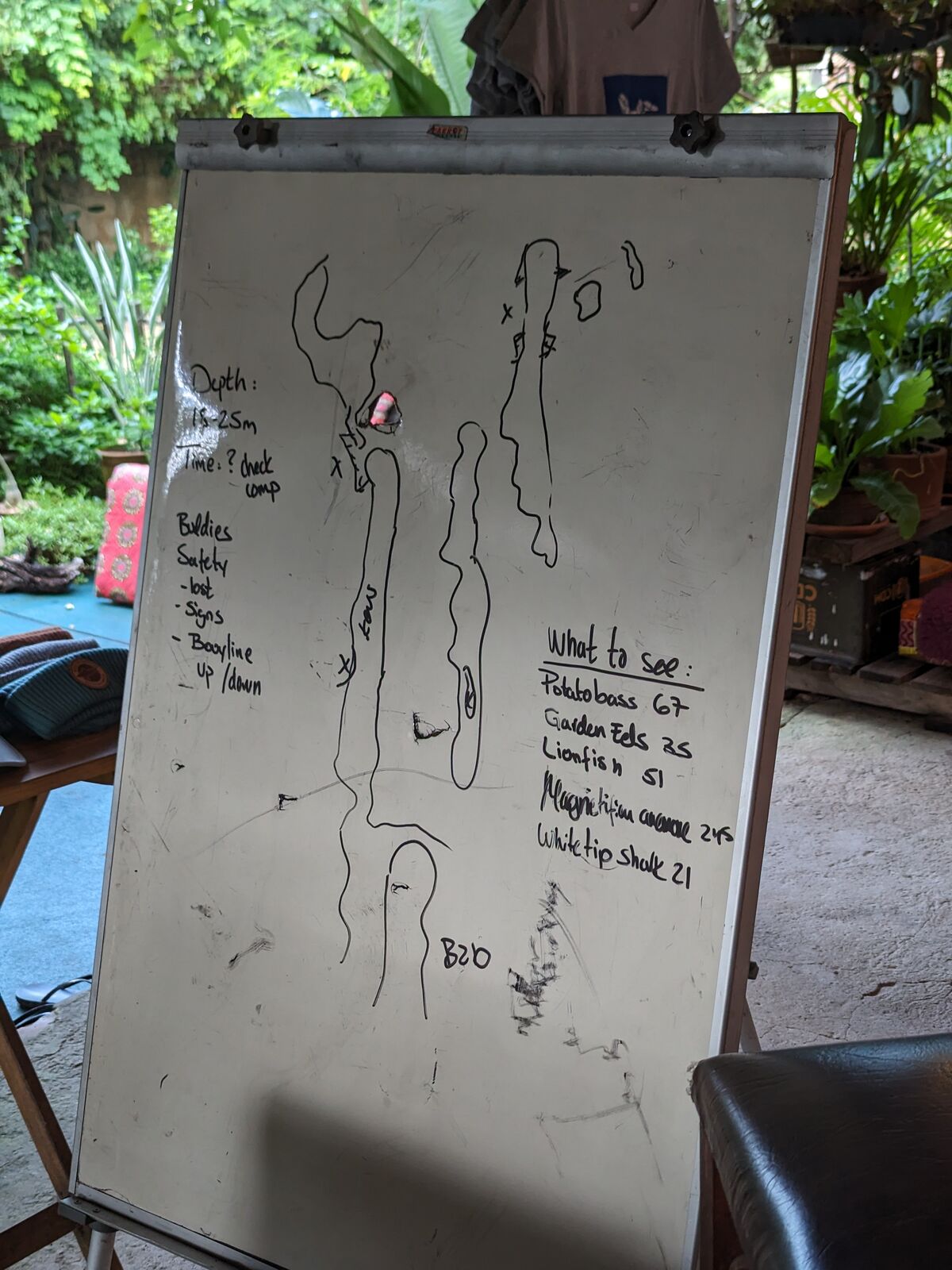 PXL_20240402_060123249