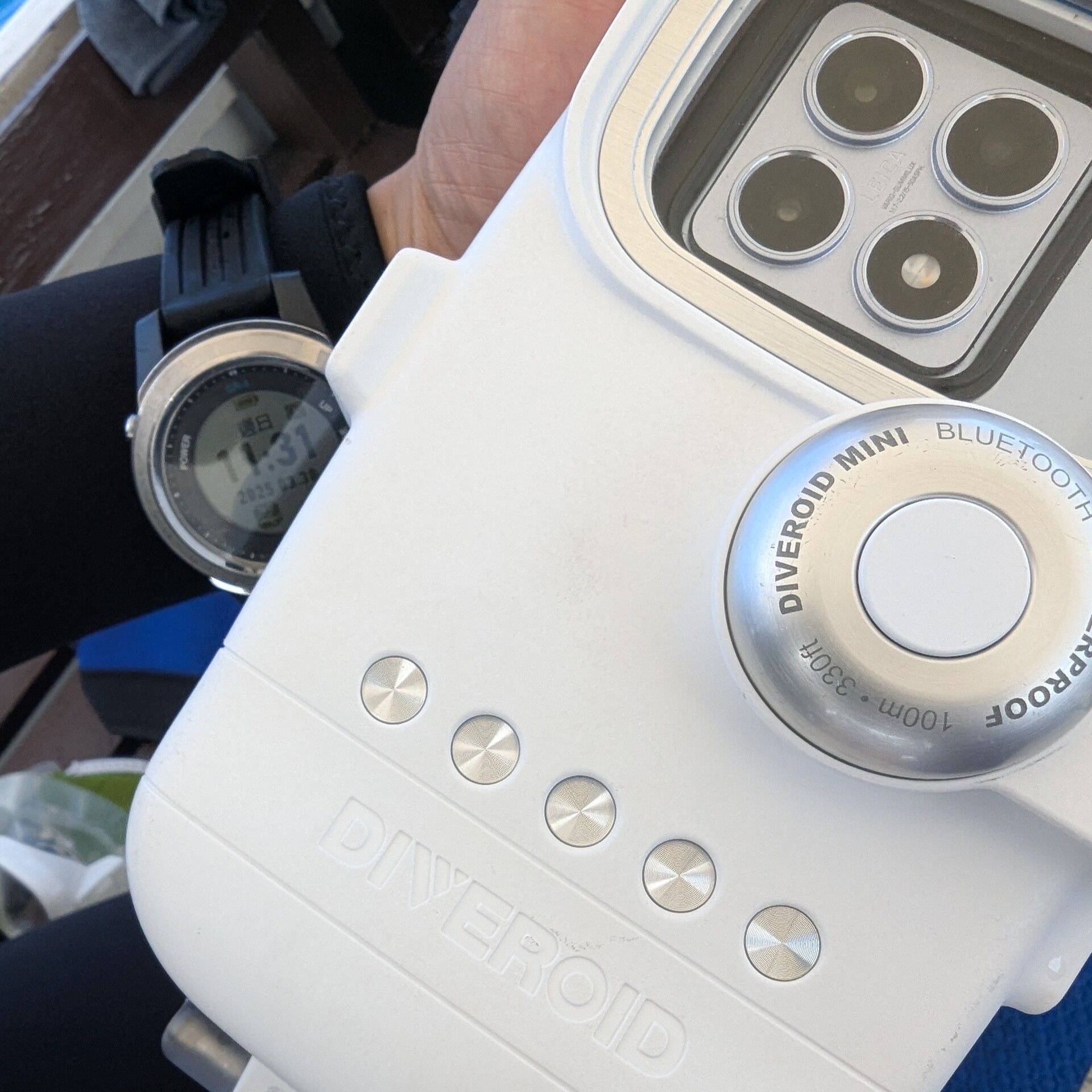 PXL_20250330_032714362