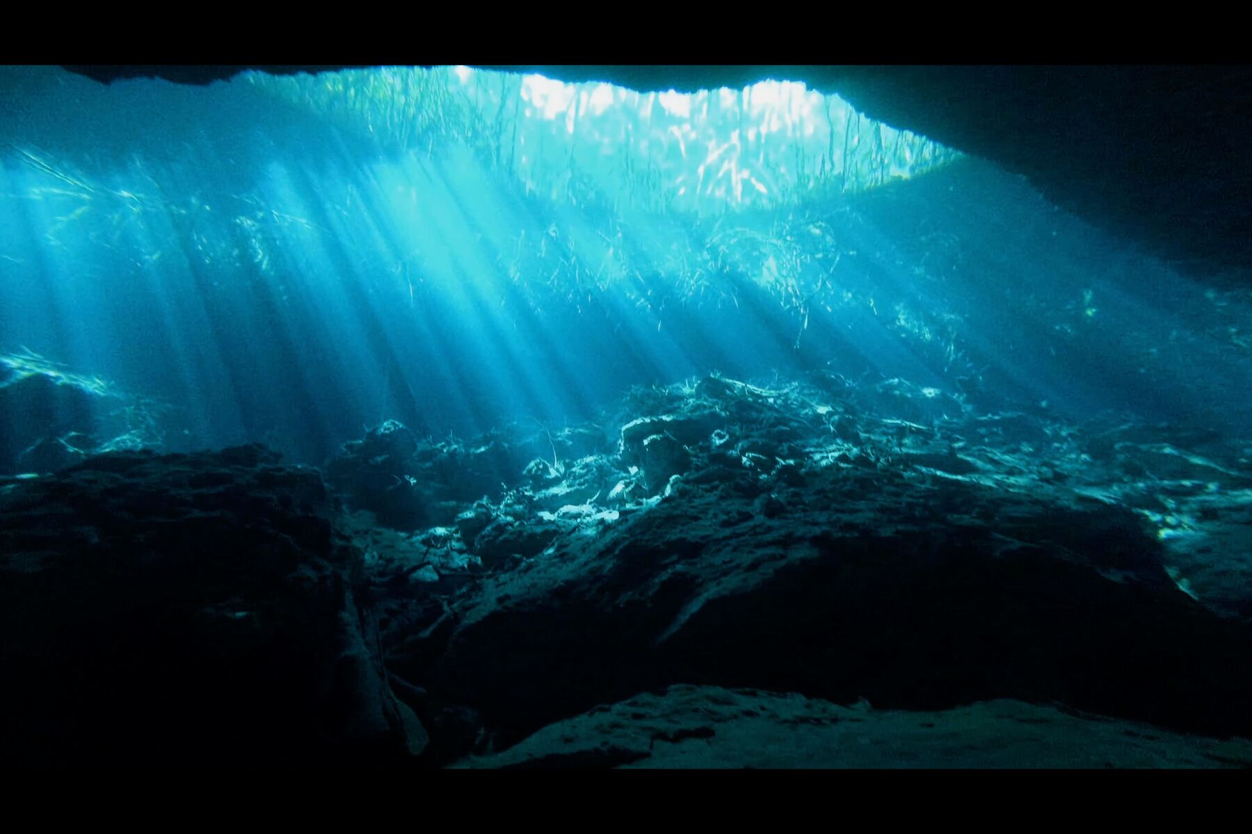 Cenote - frame at 5m5s