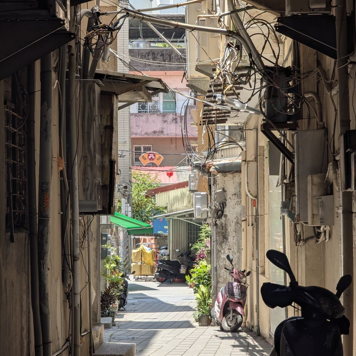 PXL_20260510_033154893~2