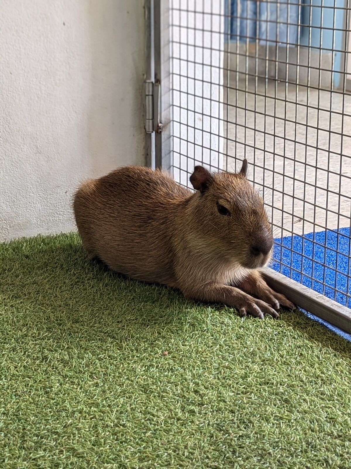 PXL_20240817_074038414.PORTRAIT