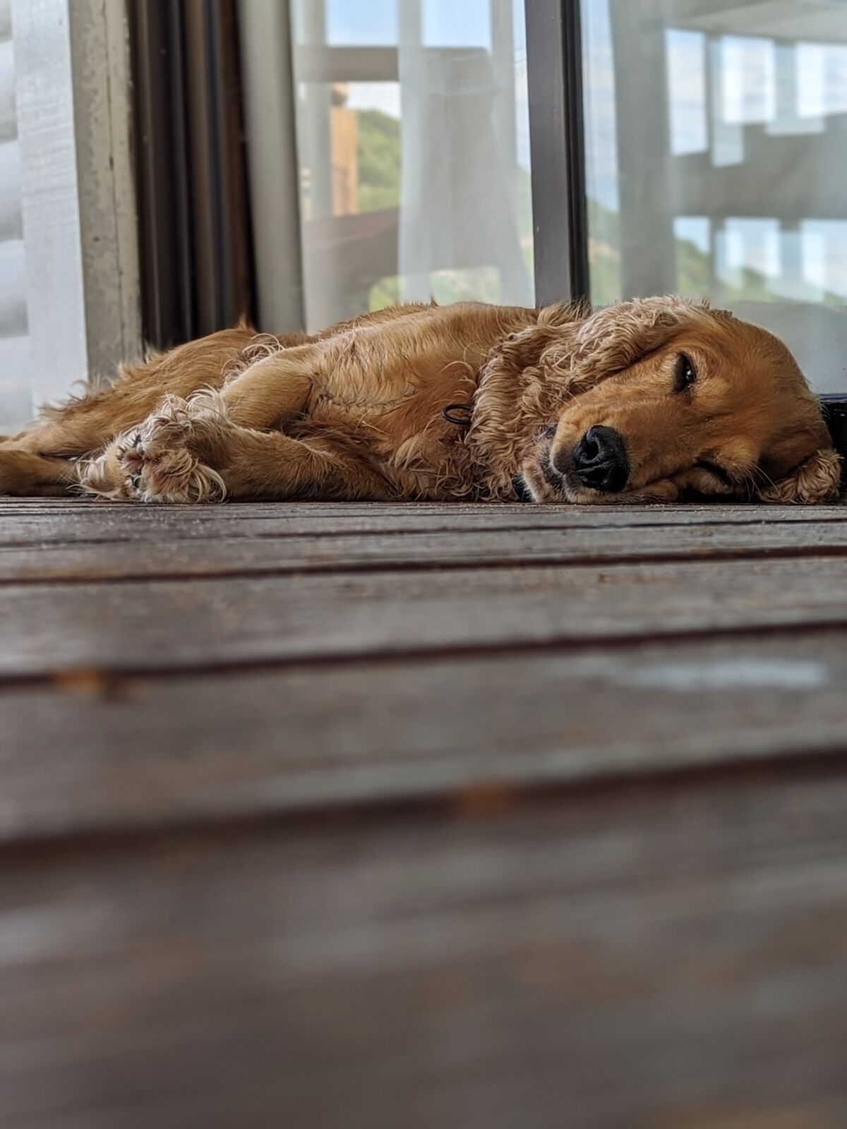 PXL_20240403_103142710.PORTRAIT