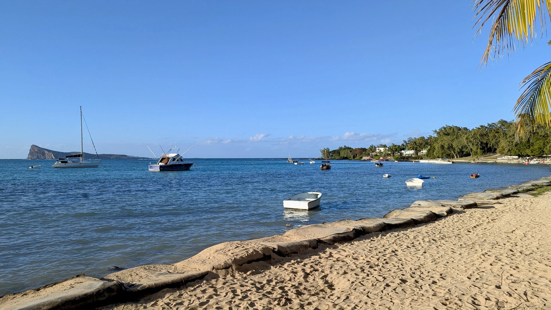 PXL_20250812_125308684~2