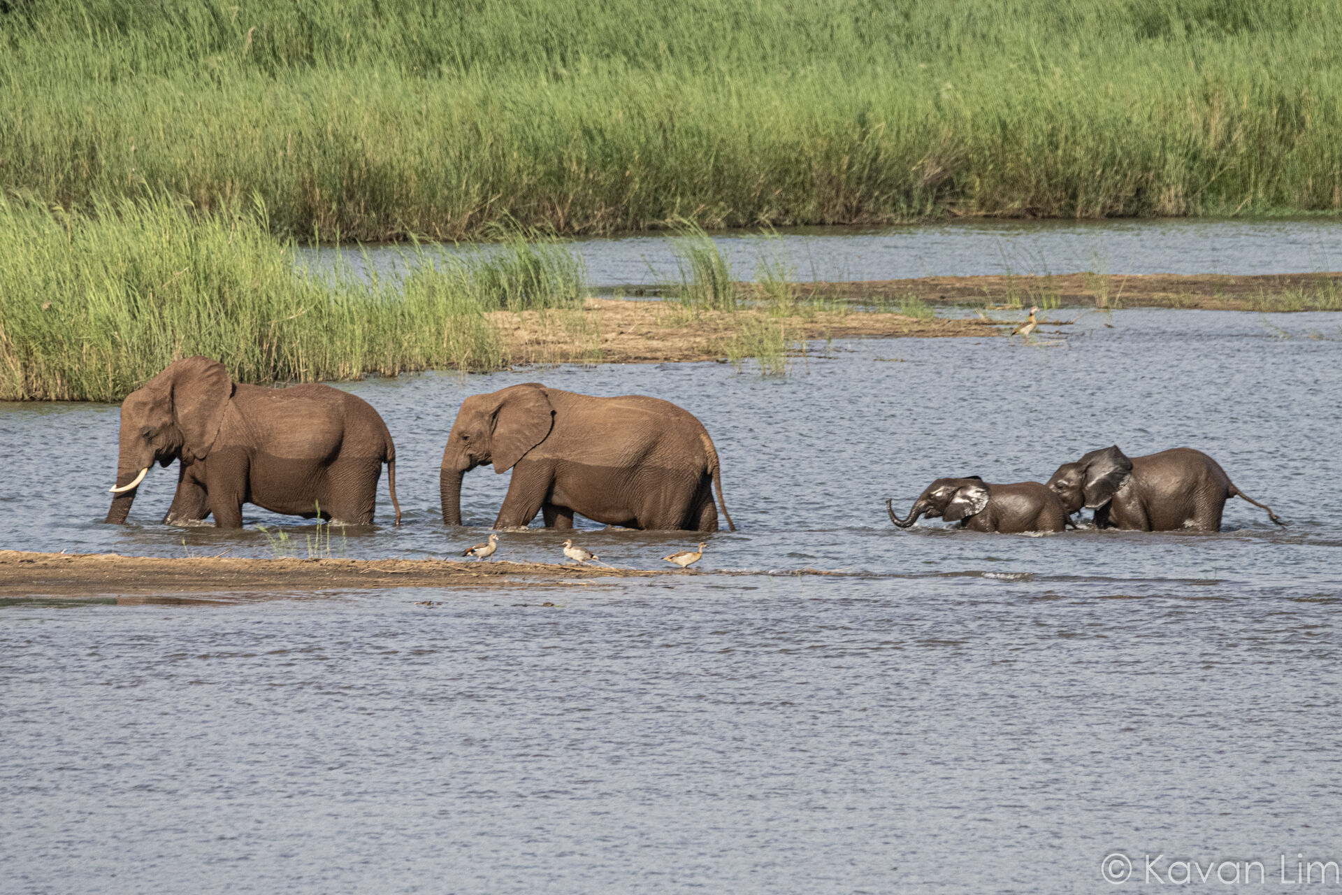 Southern Africa Batch 1 (63 of 109)