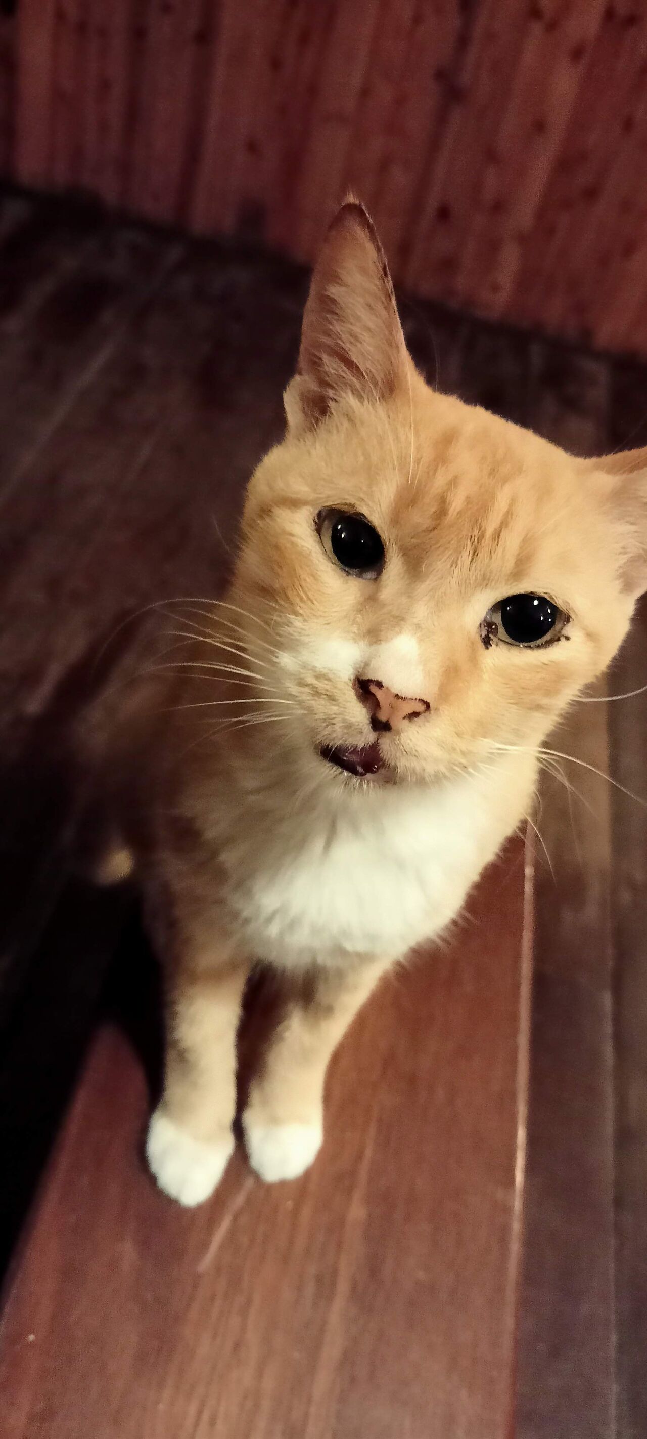 IMG20210101194742_00