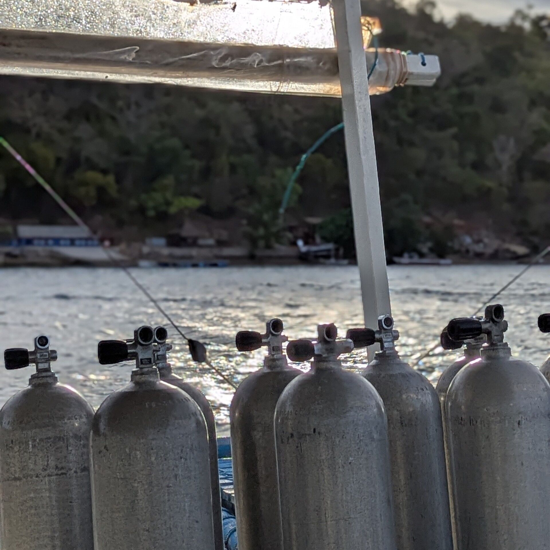 PXL_20250330_224717672.PORTRAIT