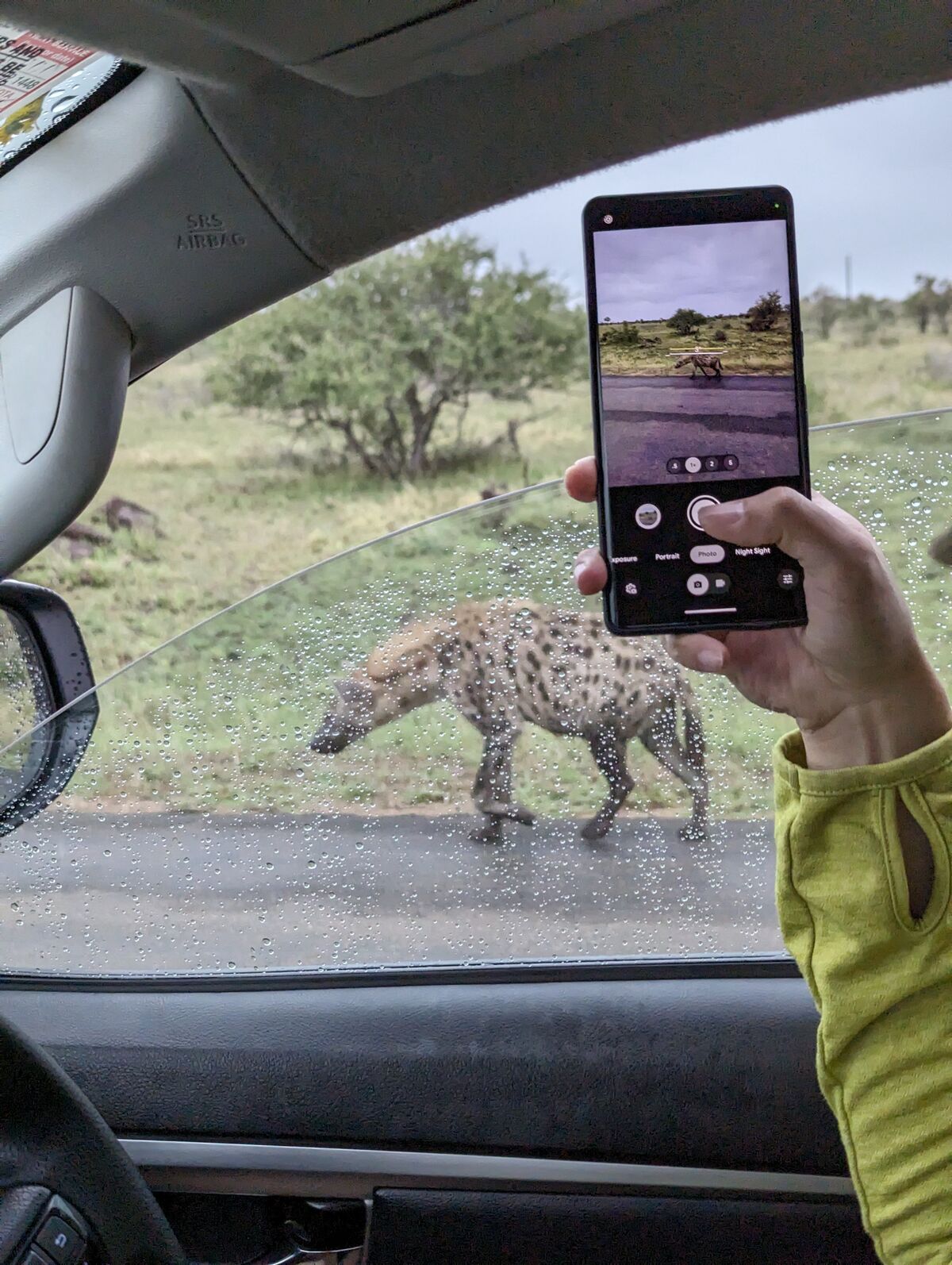 PXL_20240408_041525388