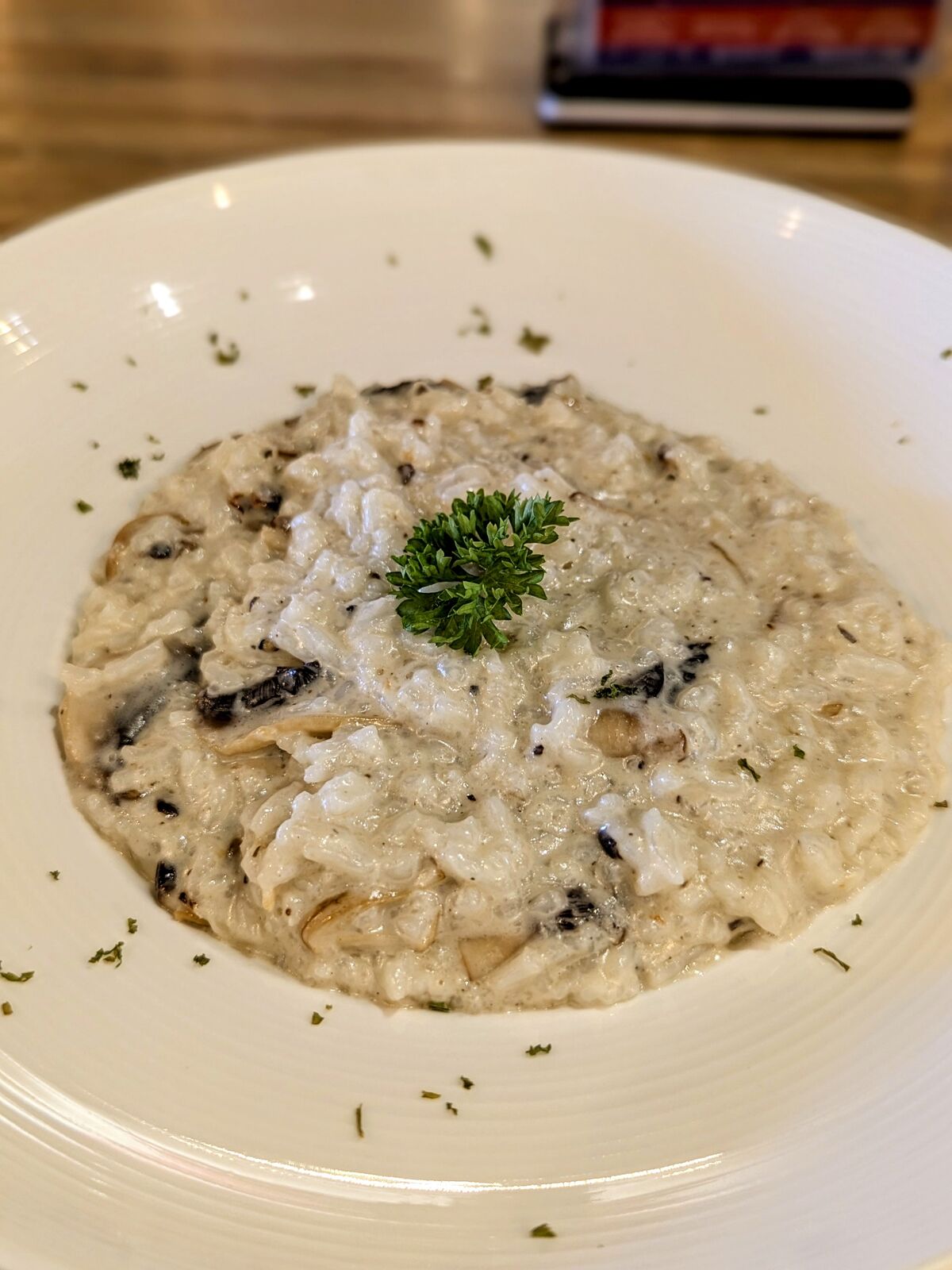 PXL_20241016_044414691.PORTRAIT~2