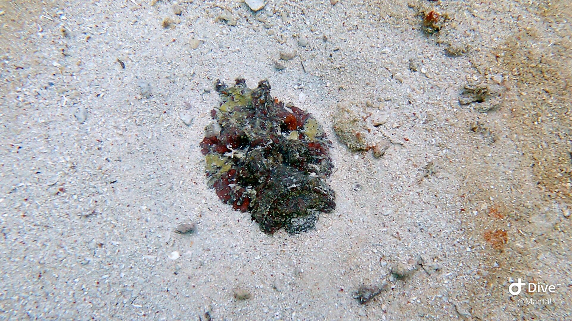 1673922825937479411061