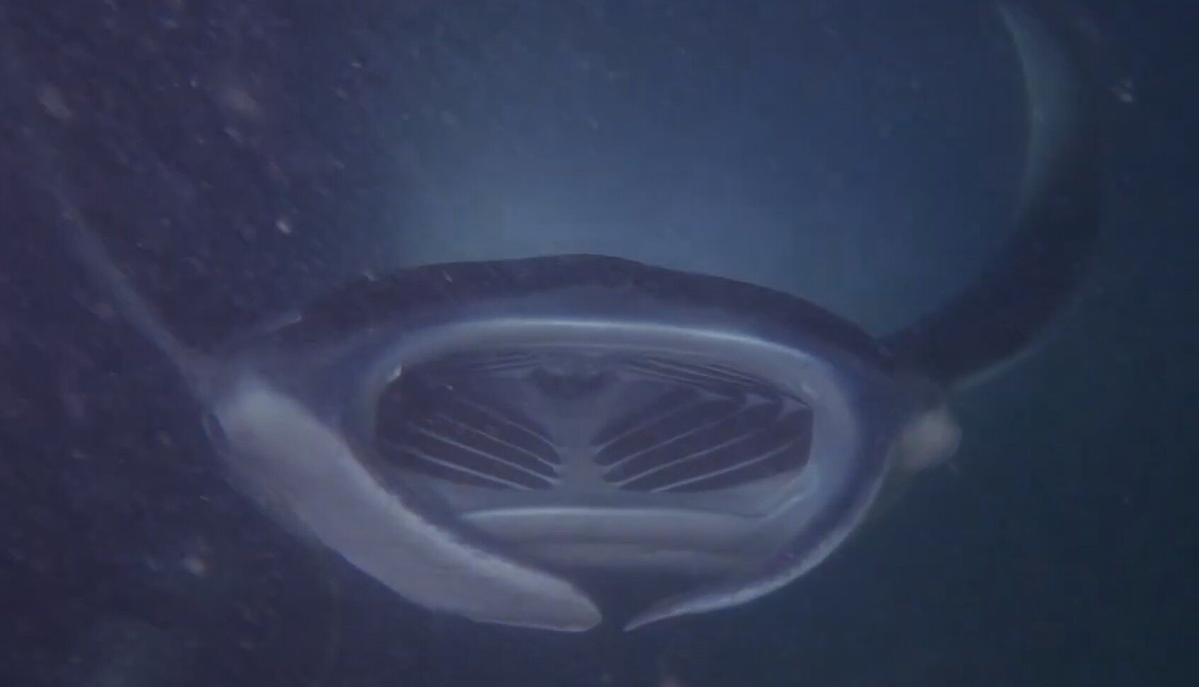 スクリーンショット 2025-01-26 141606