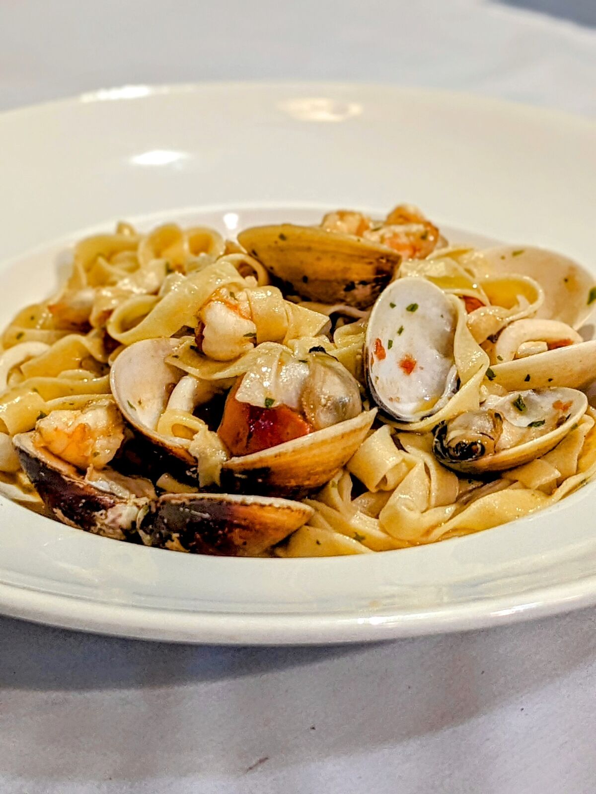 PXL_20240211_120841345.PORTRAIT~3