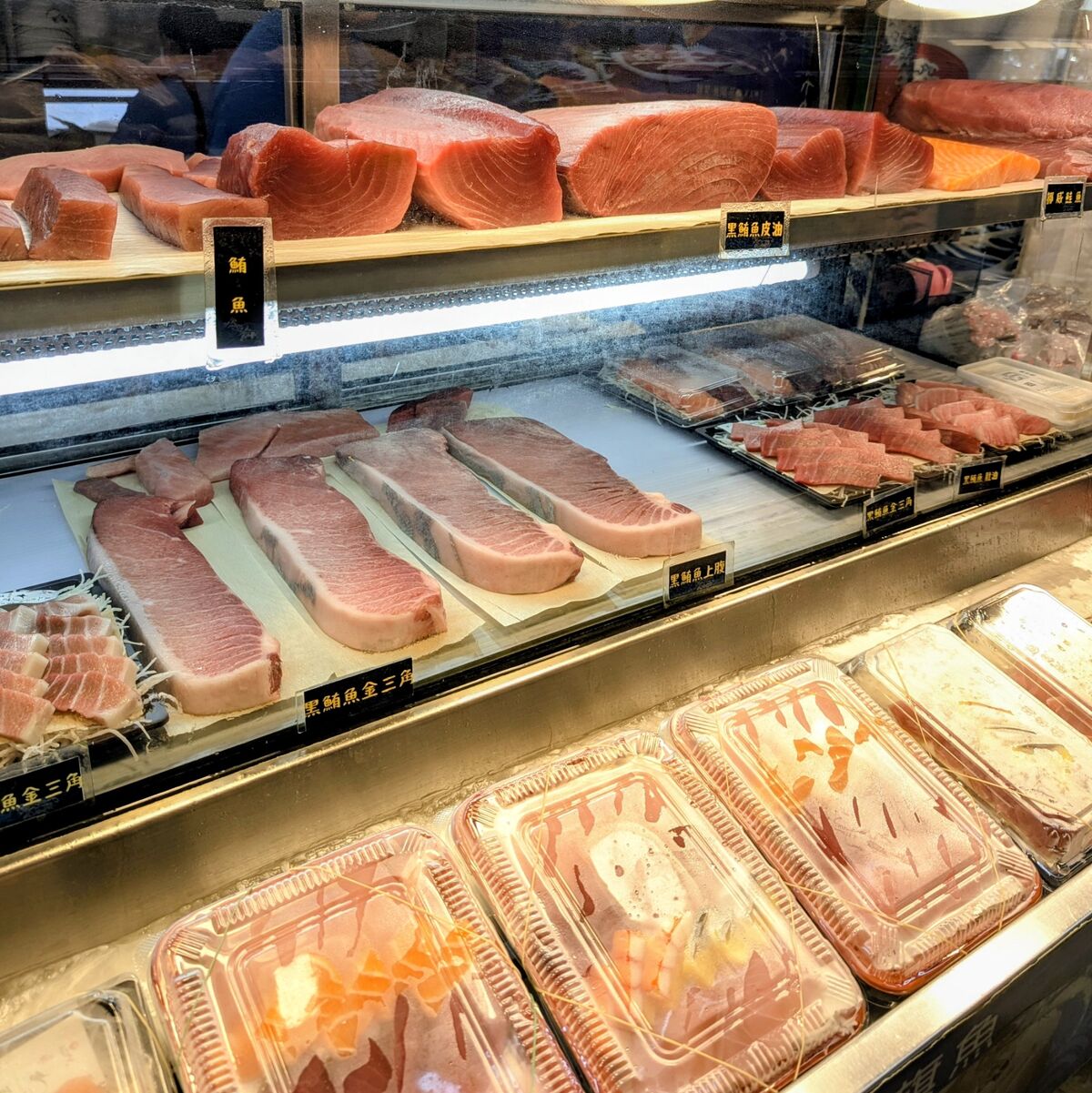 PXL_20250901_004431536~2