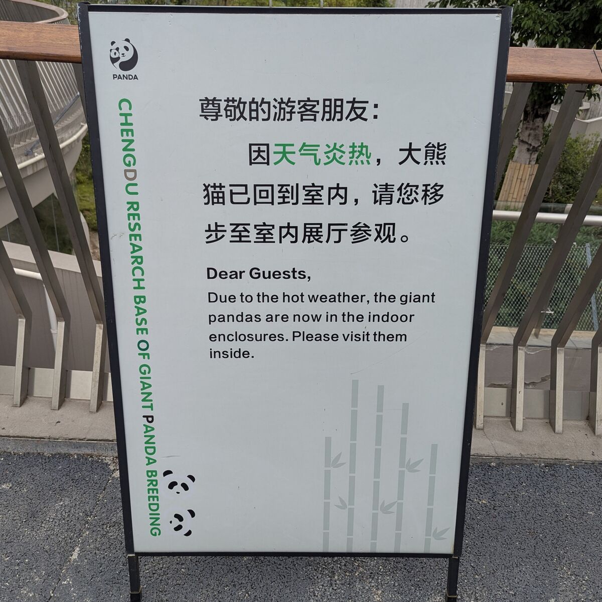 PXL_20250628_071033087~2