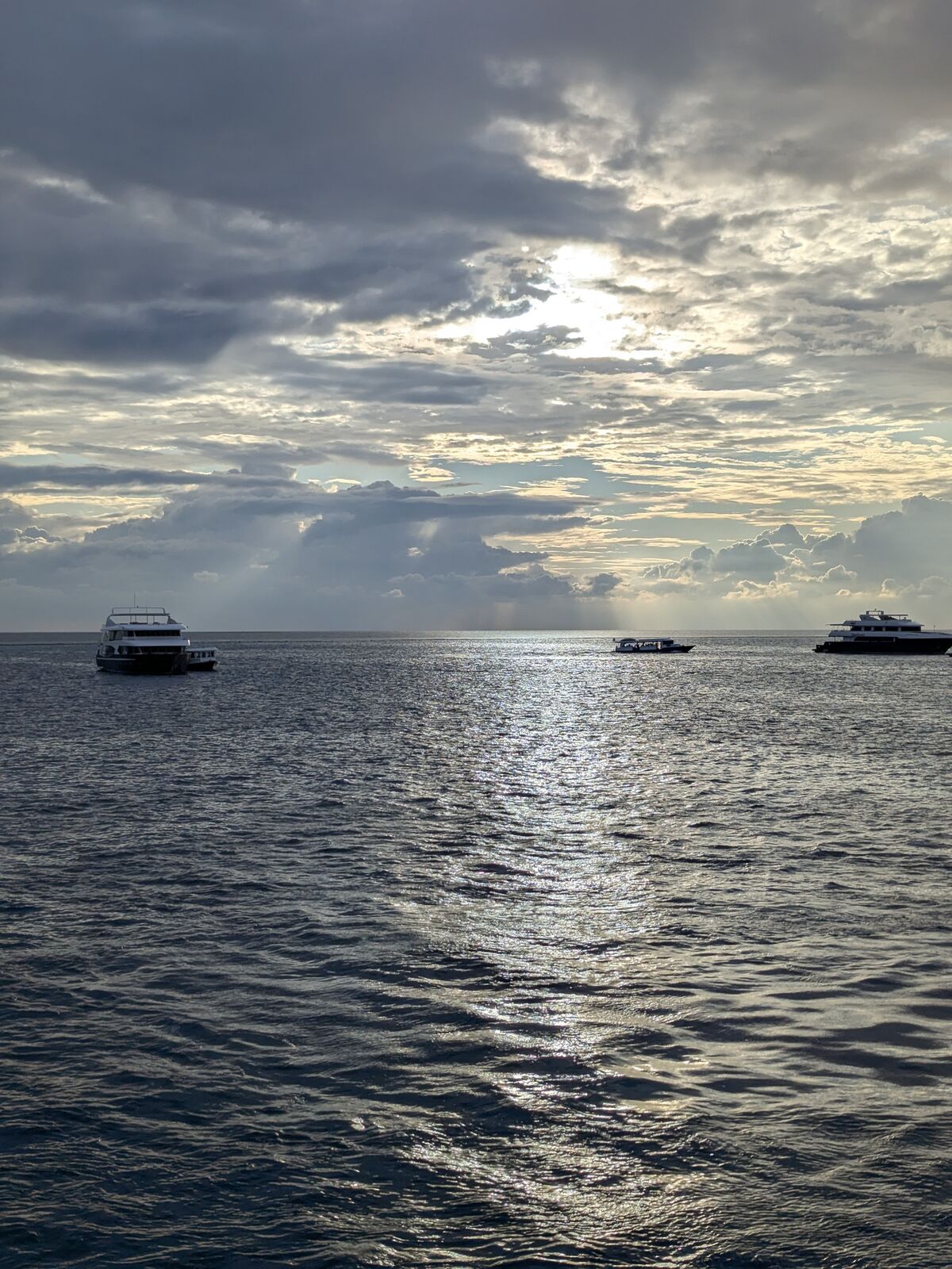 PXL_20241231_122135883