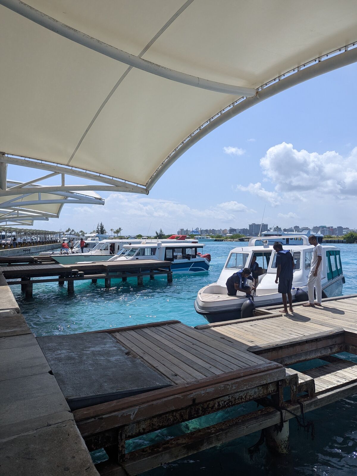 PXL_20241229_074507778