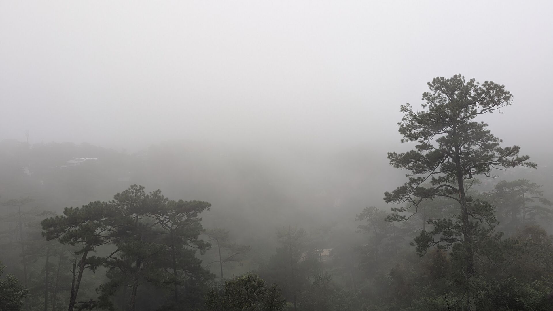 PXL_20250907_004127295