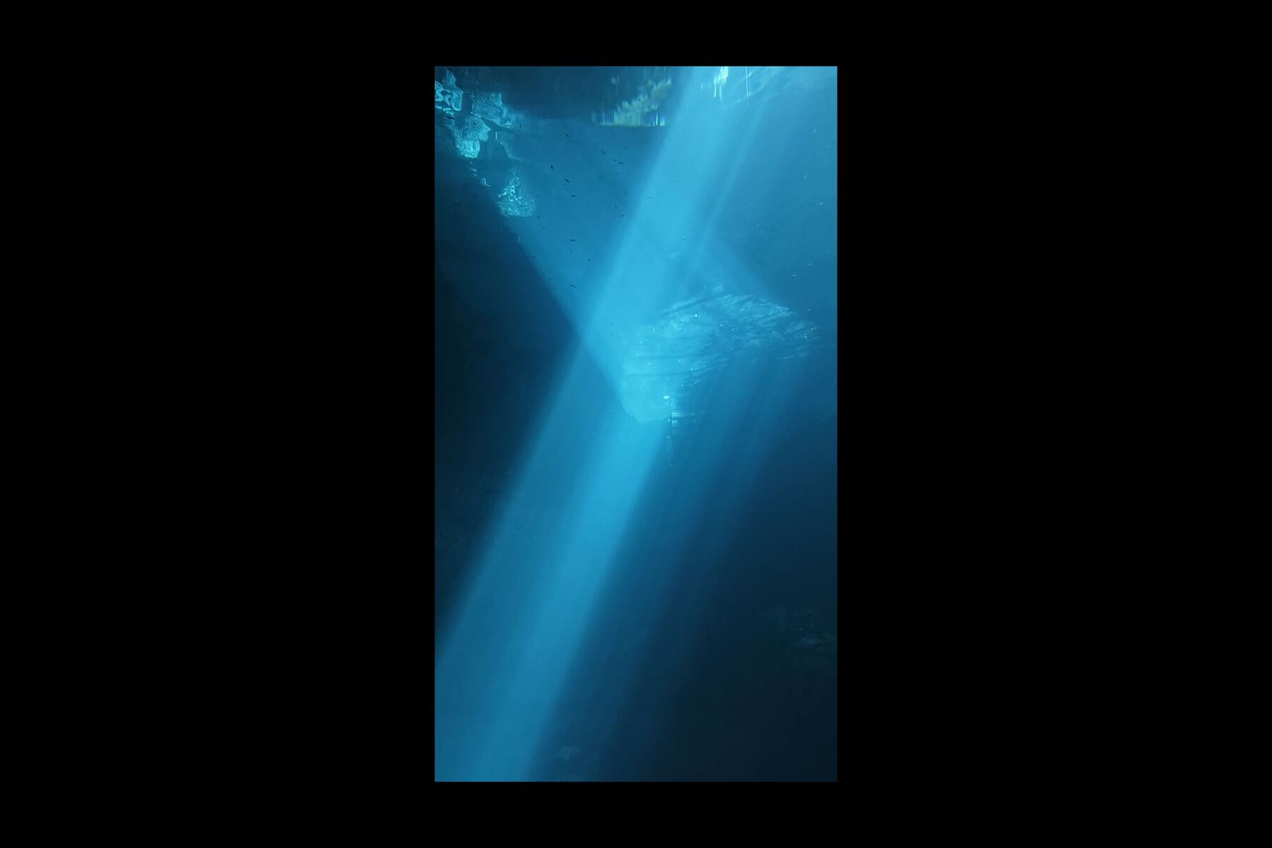 Cenote - frame at 2m51s
