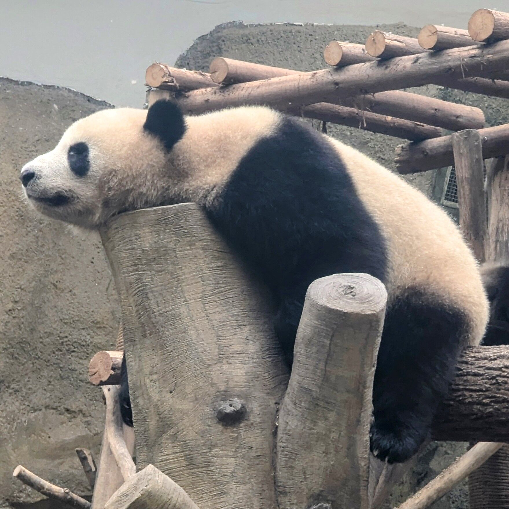 PXL_20250628_071929596~2