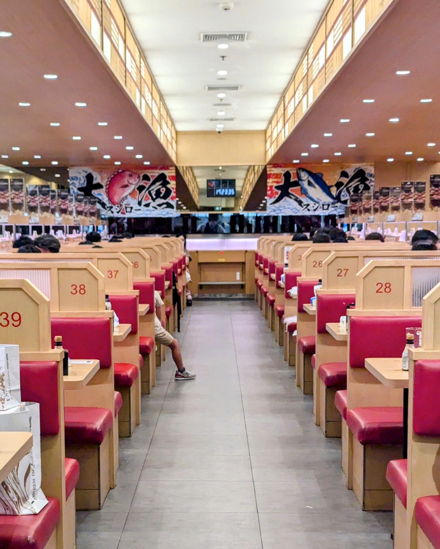 PXL_20240818_071722299~2