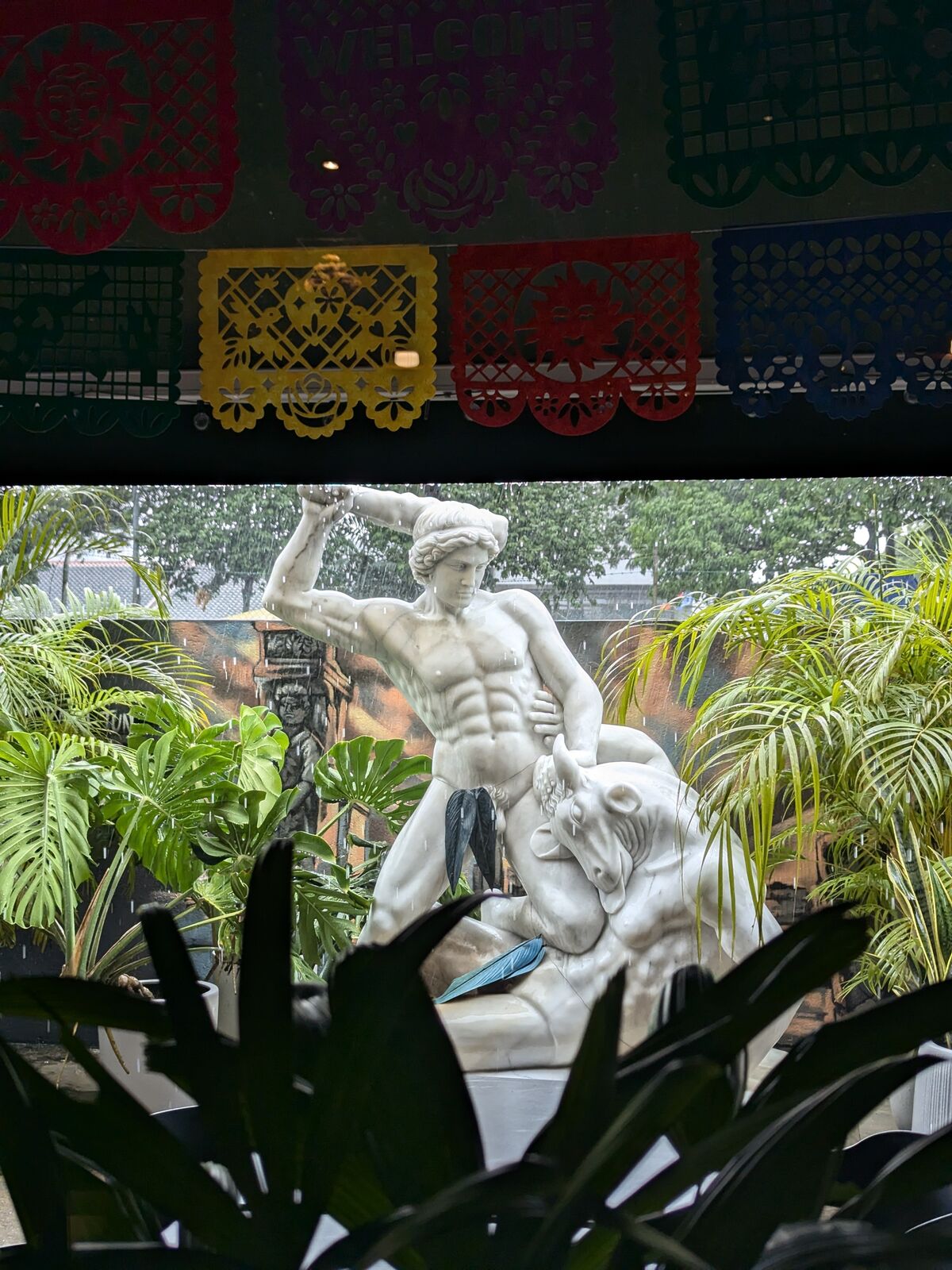 PXL_20240823_053320324