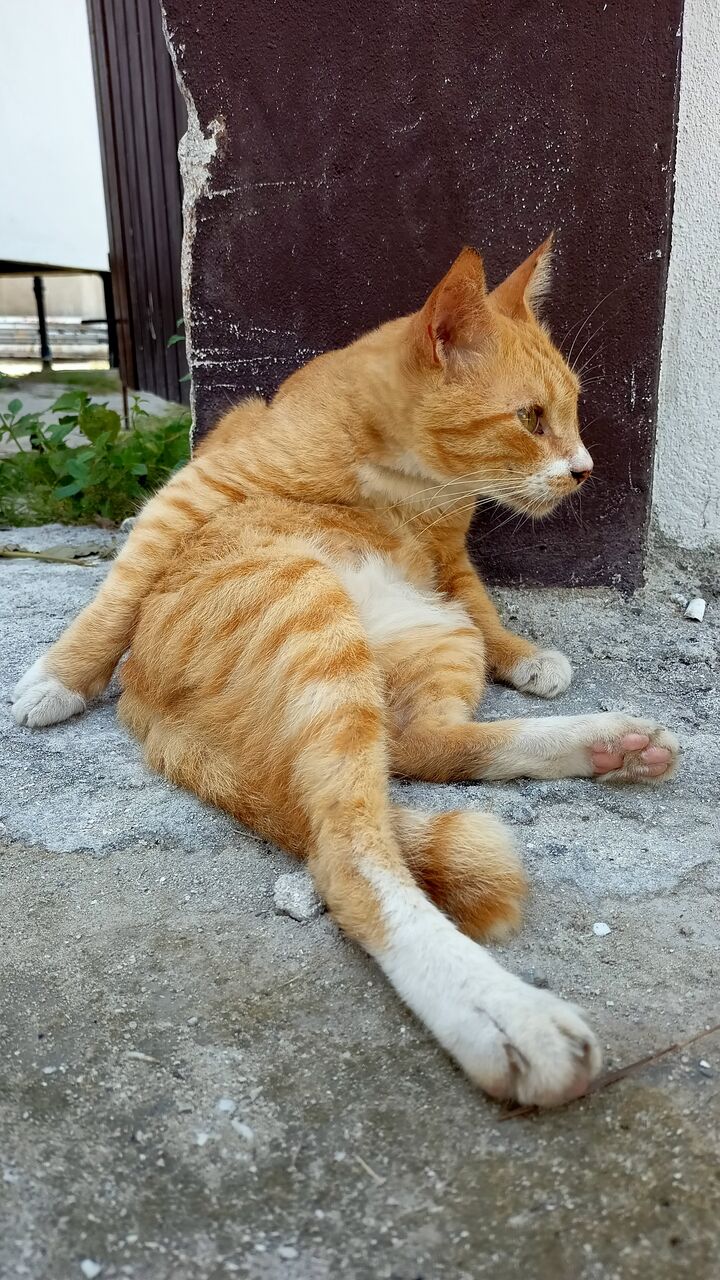 IMG20201227135341_00