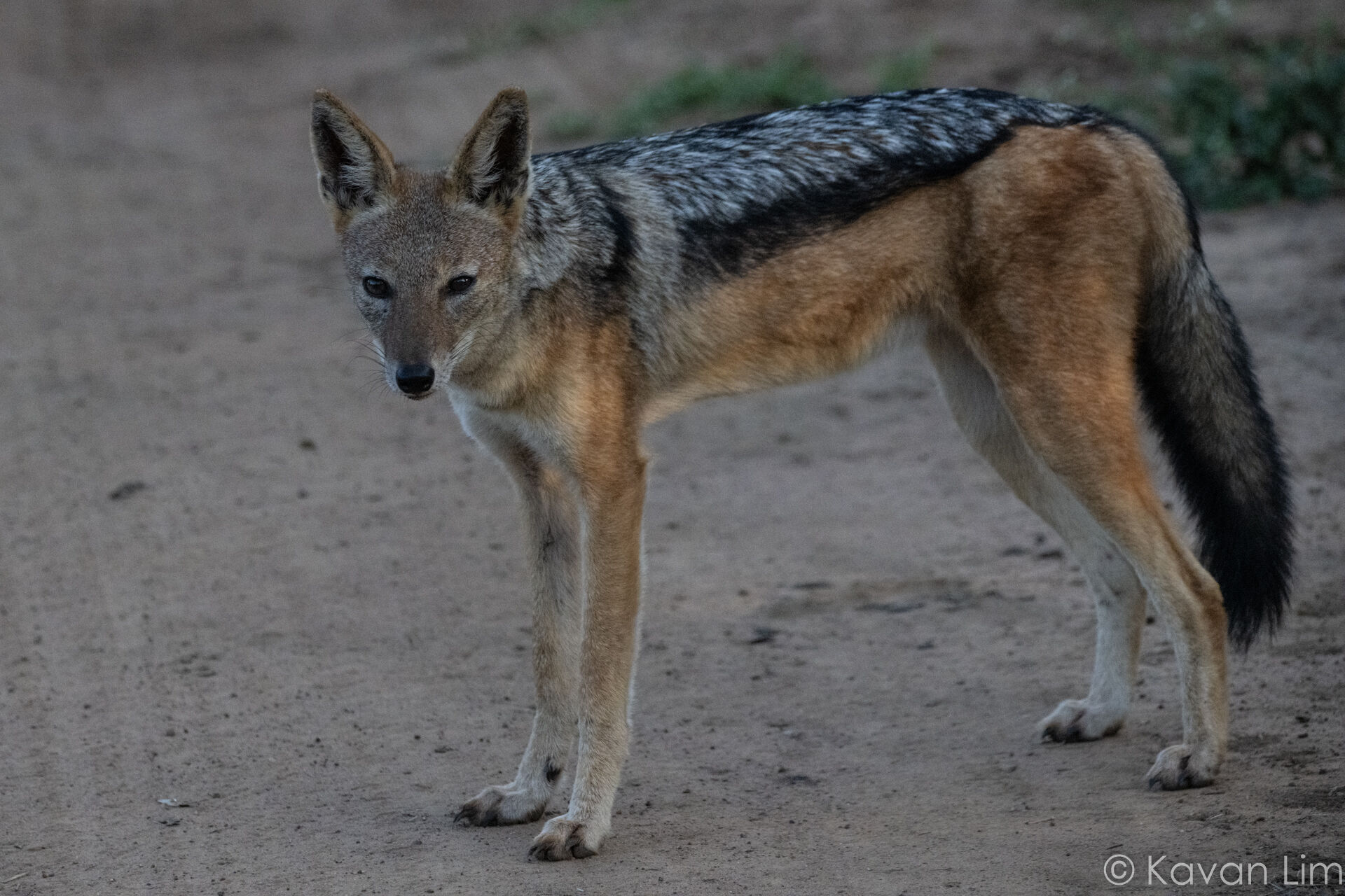 Southern Africa Batch 1 (23 of 109)