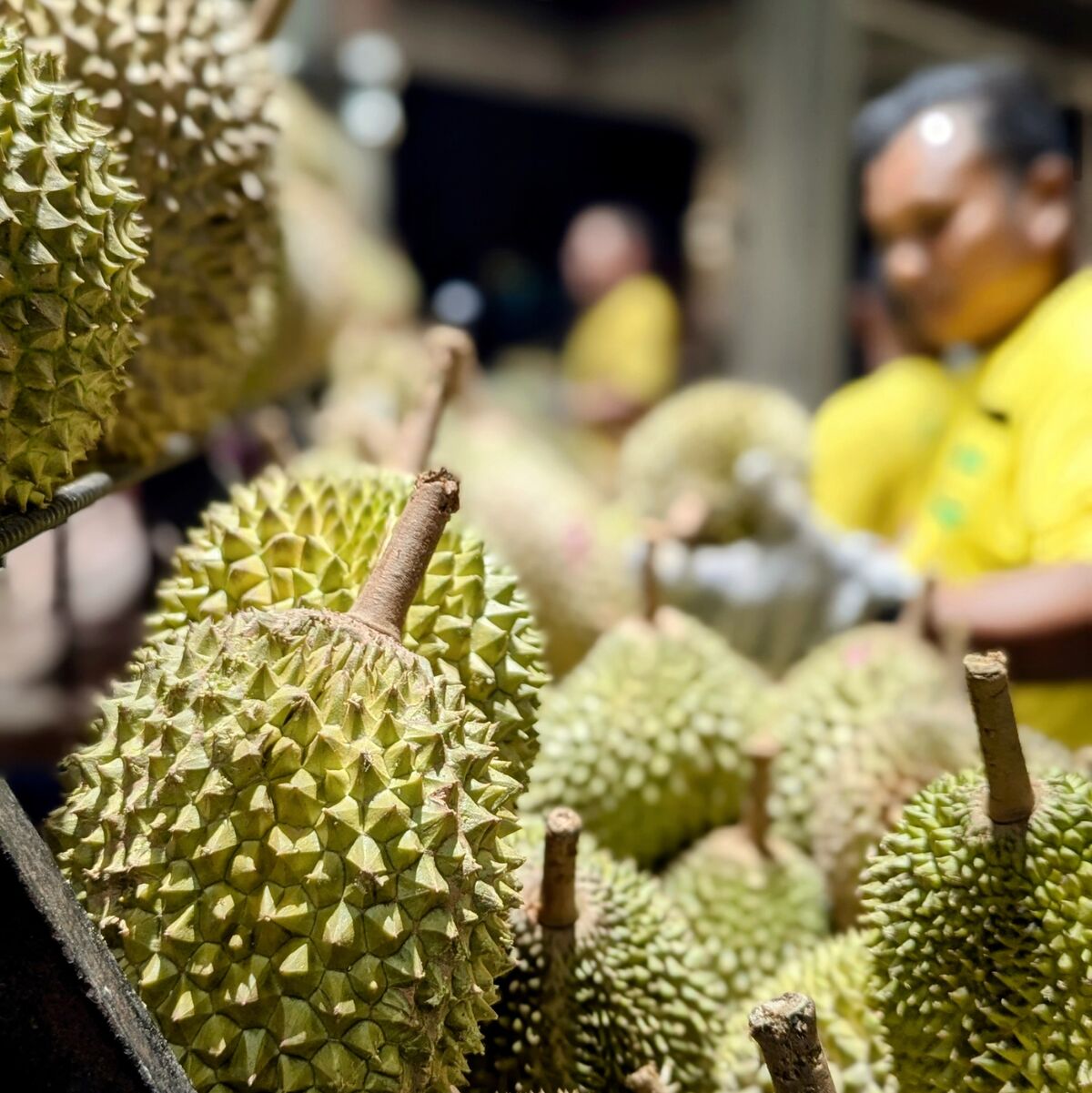 PXL_20250619_121844081.PORTRAIT~2