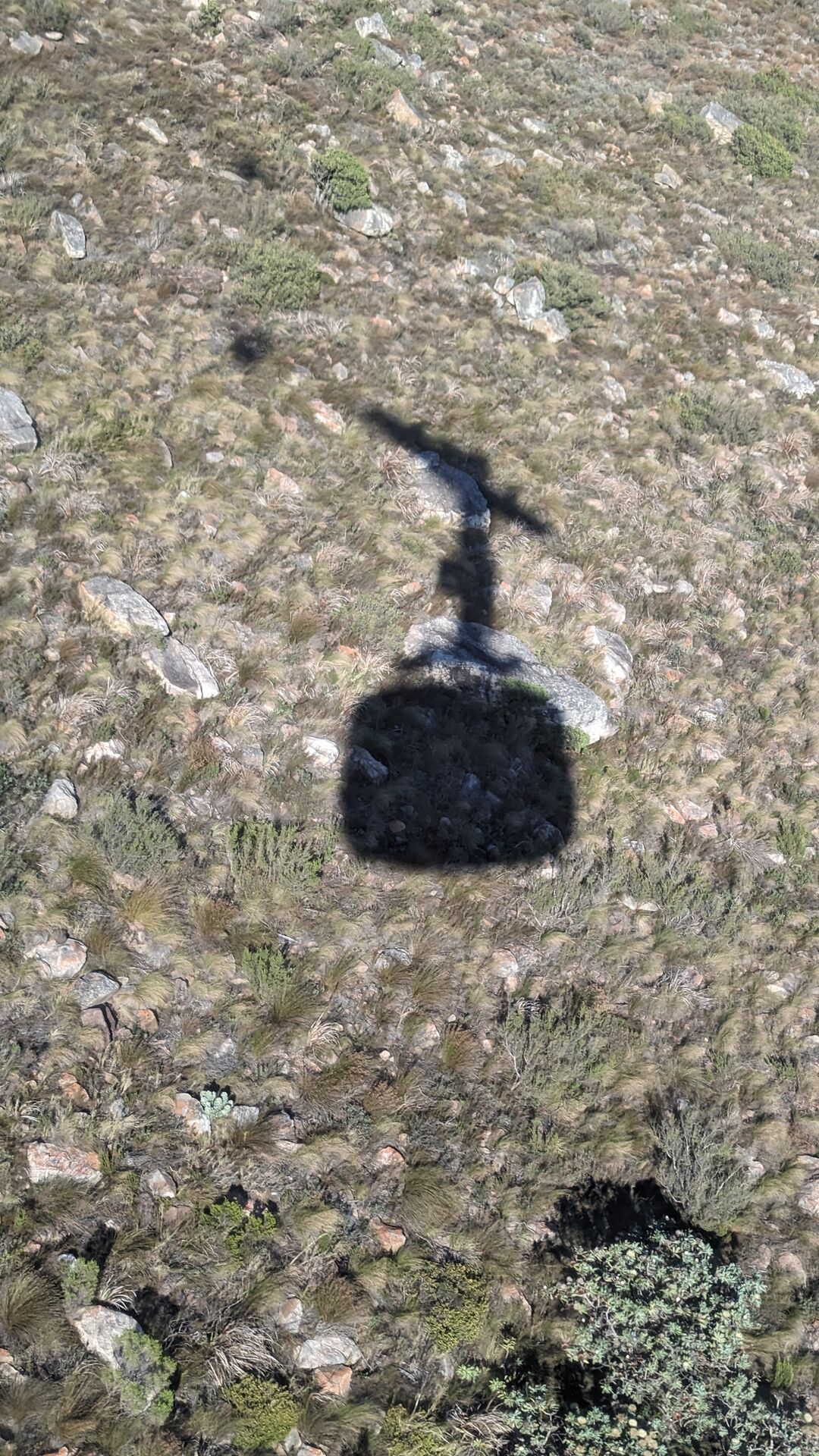 PXL_20240412_061057158