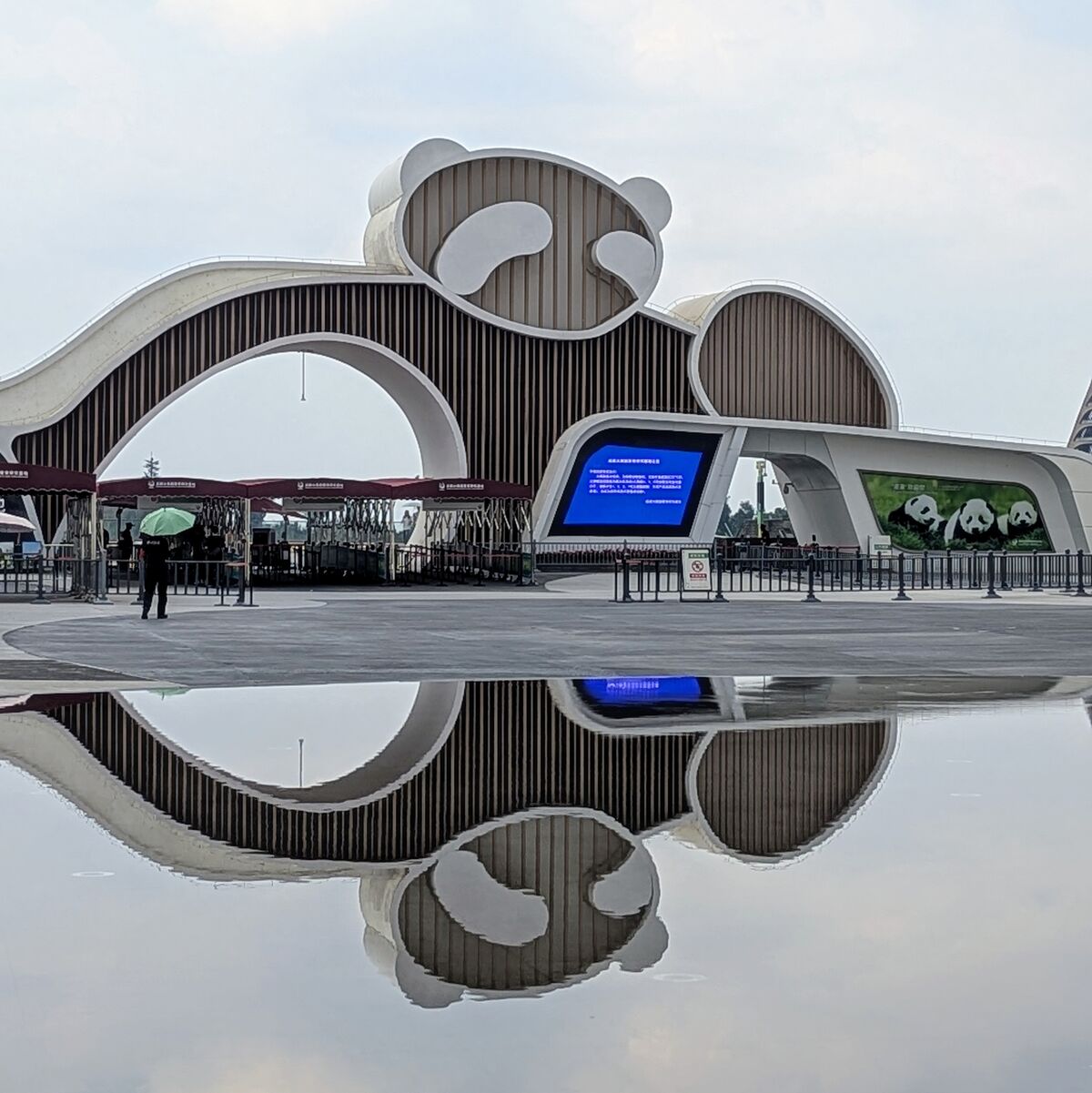 PXL_20250628_062435649.PORTRAIT.ORIGINAL~2