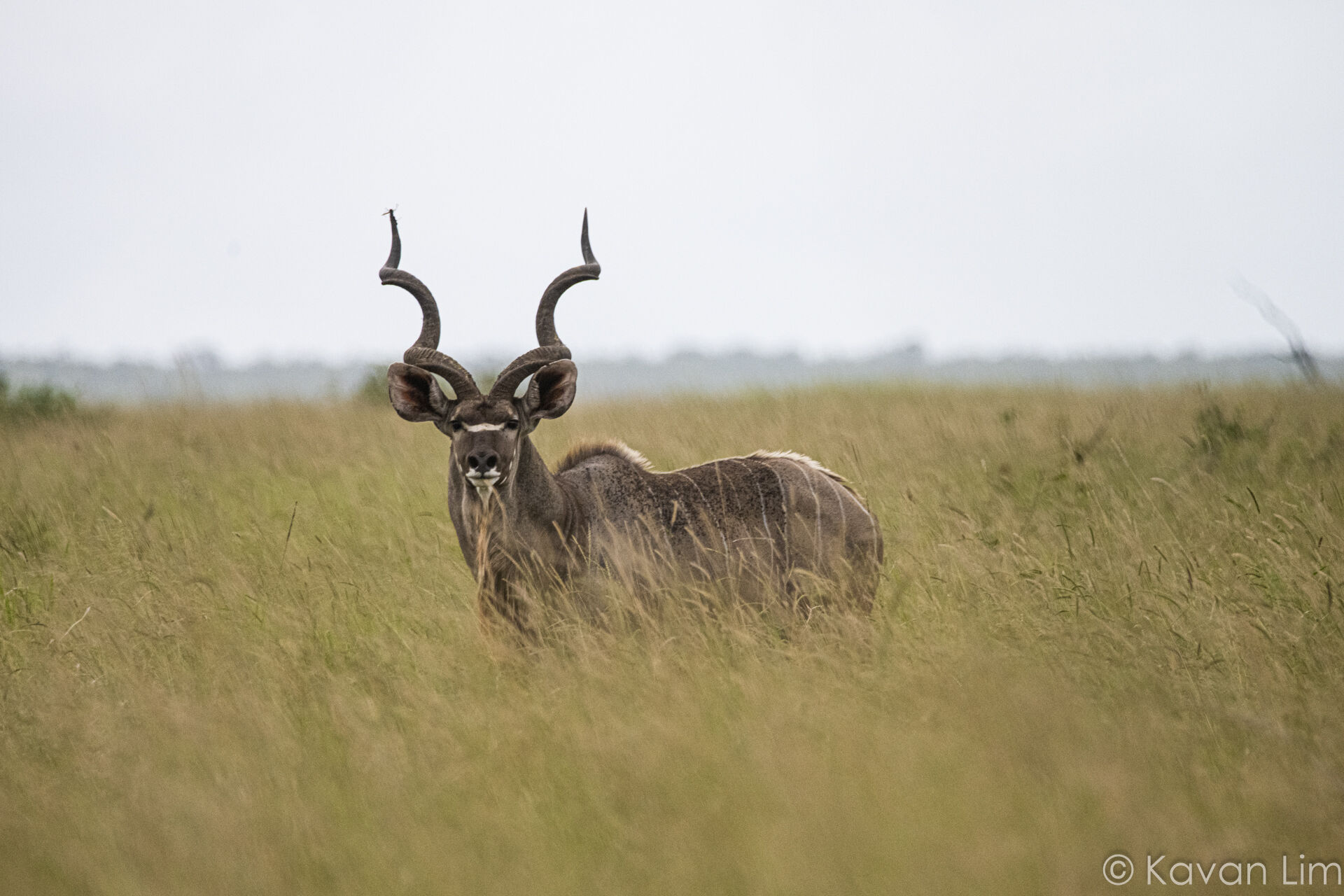 Southern Africa Batch 1 (89 of 109)