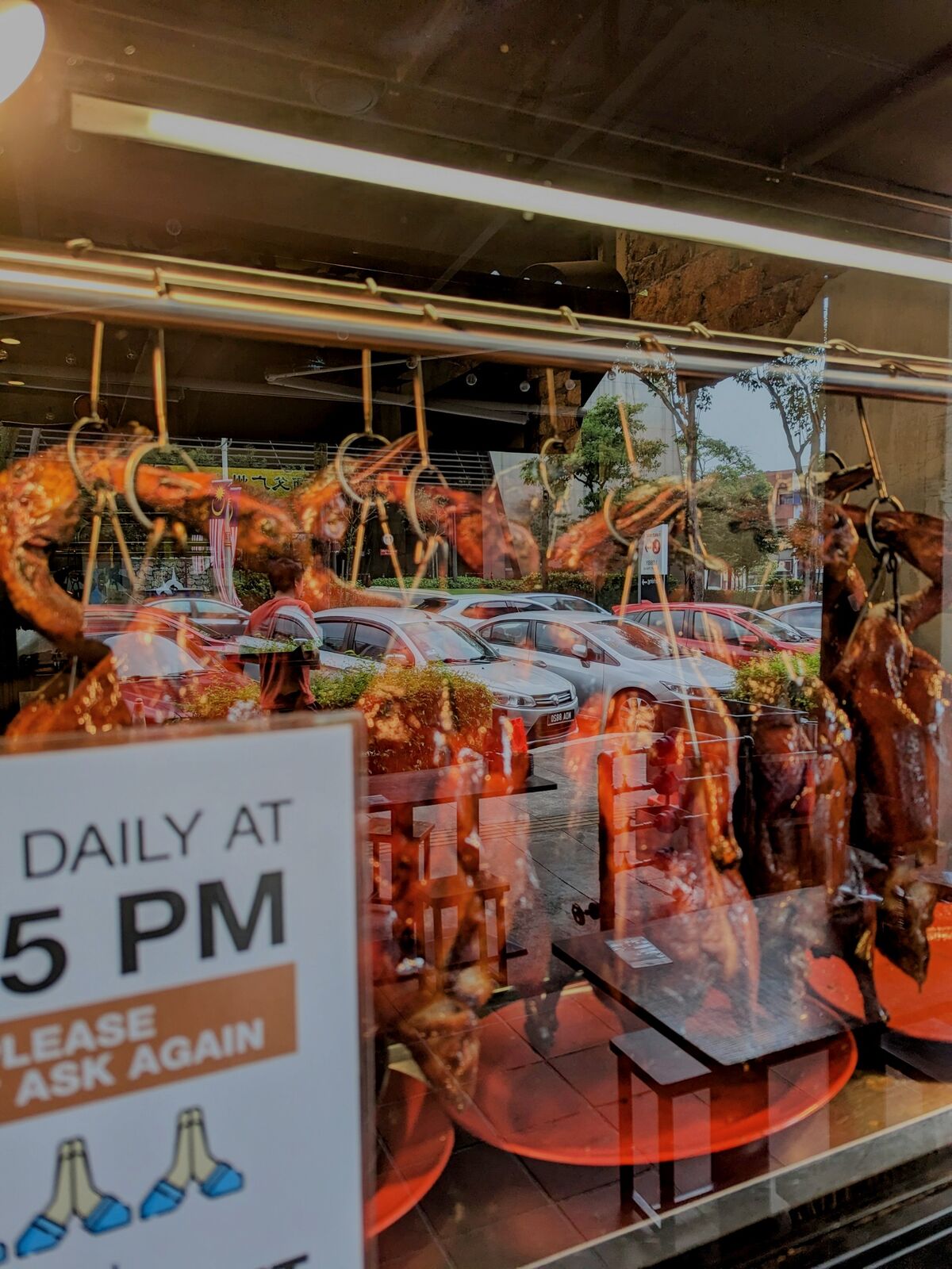 PXL_20230903_083403660~2