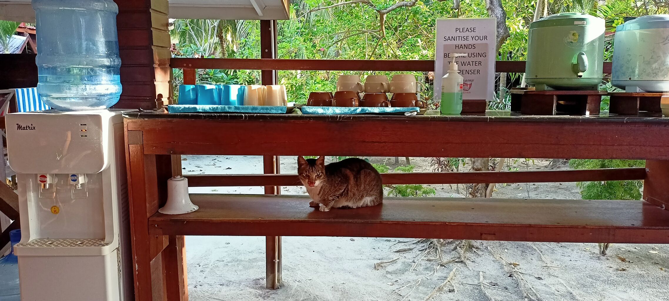 IMG20201229071458_00