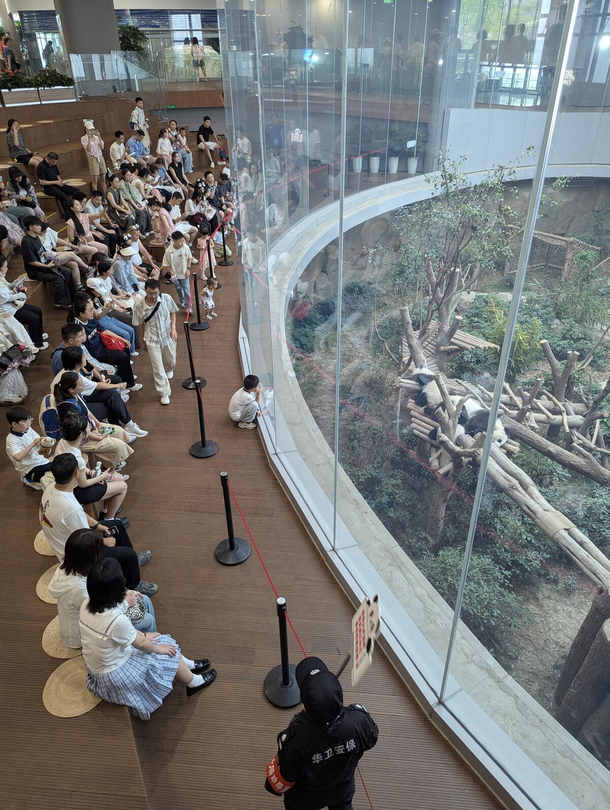 PXL_20250628_070318858